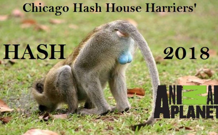 Chicago Hash House Harriers Hash Ball 2018